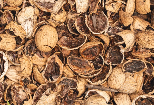 Palm Kernel Shell